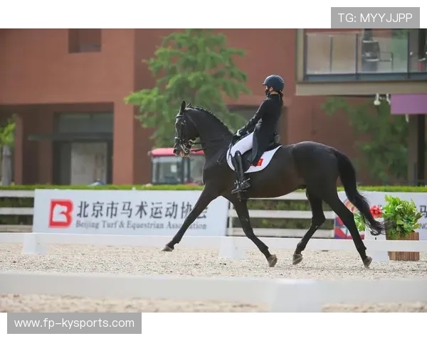 伊朗马术协会与国际马术联合会合作，举办国际马术交流活动，促进技术交流。